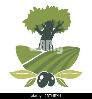 Étiquette de plantation d'olives, arbre sur le champ avec feuillage Illustration de Vecteur