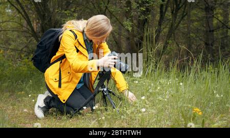 Photographe de la nature qui fait de la macro-photographie Banque D'Images