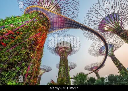 Singapour - septembre 5, 2015 : Supertrees dans les jardins de la baie. L'arbre-comme les structures sont équipés de technologies environnementales qui imitent les ce Banque D'Images