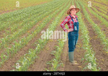 Une agricultrice préoccupée se tenant dans le champ de maïs et regardant de jeunes cultures de maïs vert Banque D'Images