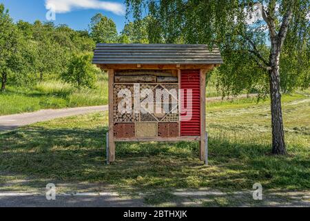 Hôtel d'insectes en bois, abri pour les insectes sauvages dans la réserve forestière Banque D'Images