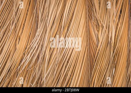 Texture de feuilles de noix de coco séchées qui chevauchent la pile. Fond abstrait de feuilles de noix de coco séchées. Banque D'Images