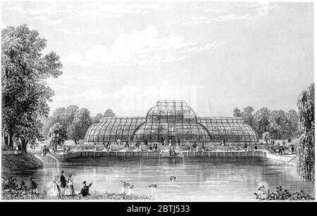 Une gravure des jardins Kew de Palm House numérisée à haute résolution à partir d'un livre imprimé en 1851. Cette image est considérée comme libre de tout droit d'auteur. Banque D'Images