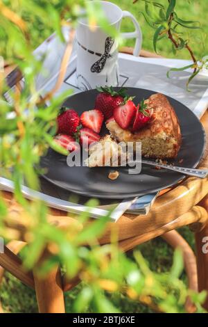 Gros plan d'un gâteau fait maison avec des fraises et quelques branches d'arbre vert dans le bokeh Banque D'Images