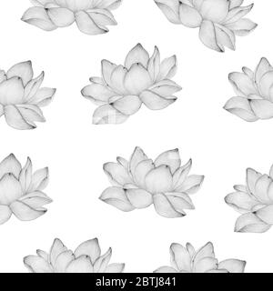 fond fleuri sans couture avec fleur de lotus en dessin au crayon, motif floral simple et élégant pour le tissu, les projets d'emballage ou les fonds Banque D'Images