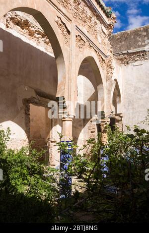 Cour avec arcade. Plantes sauvages diverses au milieu. Ruines d'un bâtiment abandonné. Ciel bleu vif. Dar Caïd Hadji (également utilisé Hajji), Mor Banque D'Images