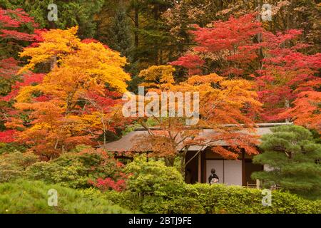 Les temples japonais en automne, jardin japonais, Seattle Banque D'Images