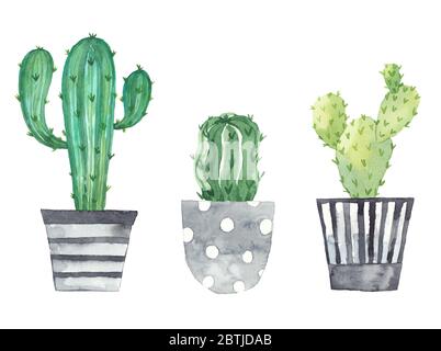 Placez les plantes dans des pots peints en aquarelle. Éléments frais isolés sur fond blanc. Ensemble de plantes en pot Banque D'Images