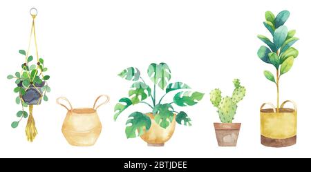 Placez les plantes dans des pots peints en aquarelle. Éléments frais isolés sur fond blanc. Ensemble de plantes en pot Banque D'Images