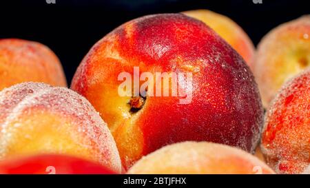 Photo macro des pêches et des abricots humides sur le backgorund noir. Arrière-plan abstrait des fruits de saison Banque D'Images