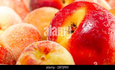 Gros plan photo d'un tas de pêches et d'abricots à la cripe humides. Arrière-plan abstrait des fruits de saison Banque D'Images