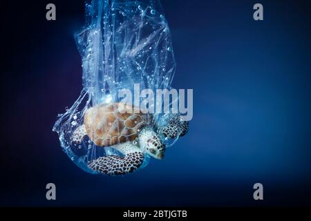 Tortue dans sac plastique dans l'océan. Problème de pollution Platique. Concept de la Journée mondiale des océans. Concept d'environnement. Banque D'Images