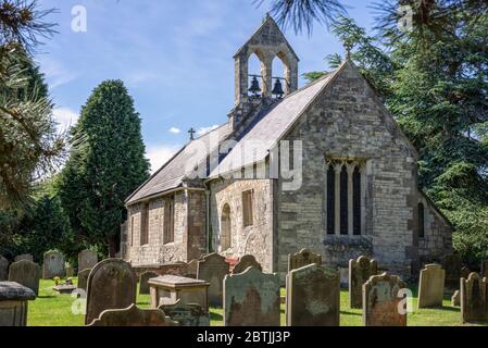 L'église de Saint Everilda à Popleton près de York. Les pierres de tête sont au premier plan et elles sont encadrées par des arbres de conférer. Banque D'Images