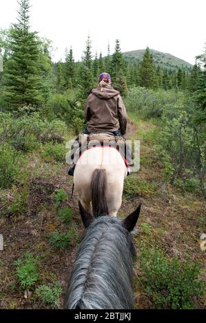 Guide féminin dans la nature menant une excursion à cheval dans le parc provincial Spatsizi plateau Wilderness, dans le nord de la Colombie-Britannique, au Canada. Banque D'Images