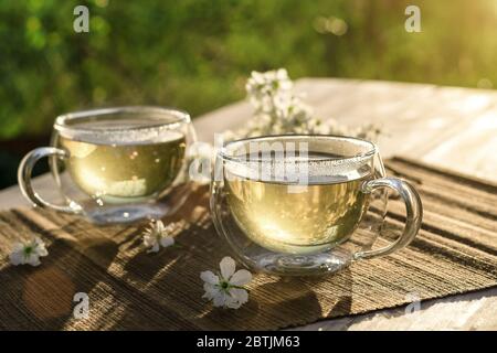 Deux belles tasses en verre avec thé vert décorées de fleurs de cerisier blanc sur une table en bois dans le jardin de printemps en lumière du soleil. Vue de dessus. Banque D'Images