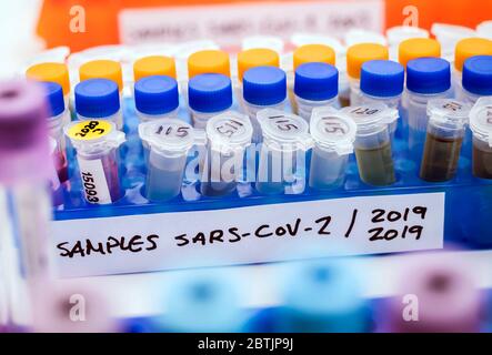 Flacons contenant des échantillons de SARS-COV-2 Covid-19 dans un laboratoire de recherche, image conceptuelle Banque D'Images