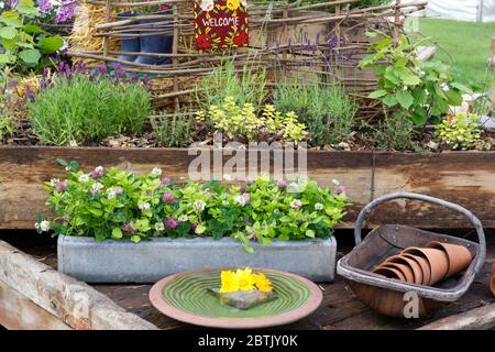 jardin décoratif de fleurs et d'herbes barrow avec panneau de bienvenue Banque D'Images