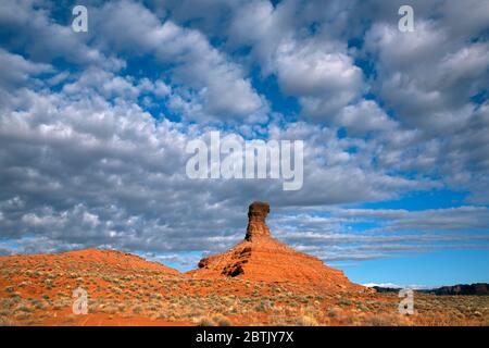 UT00700-00...UTAH - butte de grès rouge dans la vallée des dieux; une zone de préoccupation environnementale critique. Banque D'Images