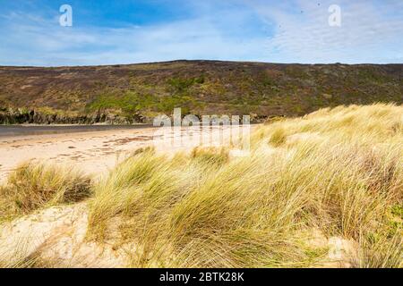 Vue sur la plage de Porthcothan sur la côte nord de Cornish. Cornwall Angleterre Royaume-Uni Europe Banque D'Images