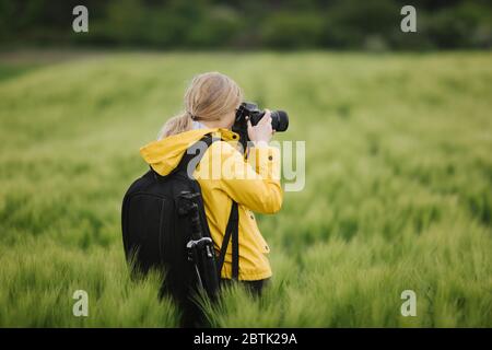 Vue arrière de la femme prenant des photos de champ de blé Banque D'Images