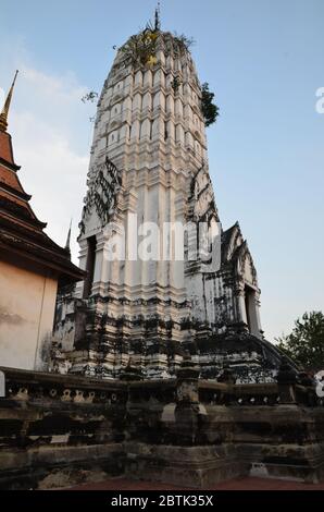 Prang blanc de Wat Phutthai Sawan à Ayutthaya Banque D'Images