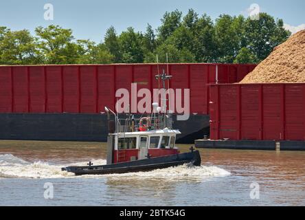 Bateau à vapeur et barge du fleuve Fraser. Un remorqueur travaillant sur le fleuve Fraser en Colombie-Britannique, au Canada, près de Vancouver. Banque D'Images