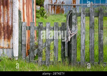 Clôture et porte à Port Stanley, îles Falkland (Islas Malvinas), Royaume-Uni, Amérique du Sud Banque D'Images