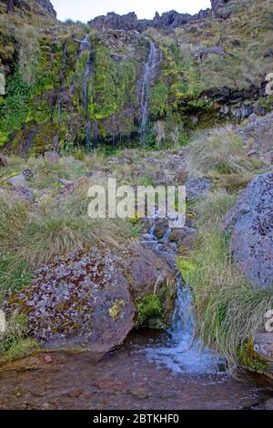 Sources de soda dans le parc national de Tongariro Banque D'Images