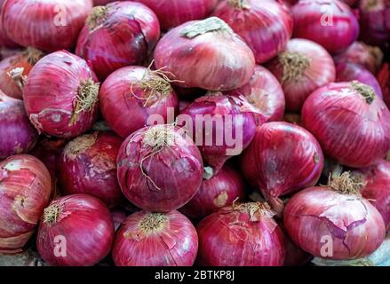 Une pile d'oignons rouges (Allium cesp) sur un marché végétal local à Arequipa, au Pérou. Banque D'Images