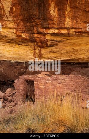 UT00659-00...UTAH - le bas bâtiment à Horsecolla ruine, encore partiellement intacty et construit par les ancêtres Puebloans il y a plus de 700 ans maintenant partie de Natu Banque D'Images