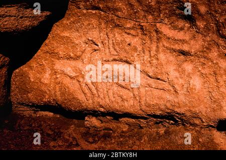 Pétroglyphes du site archéologique de Yerbas Buenas, Rio Grande, San Pedro de Atacama, région d'Antofagasta, Chili Banque D'Images