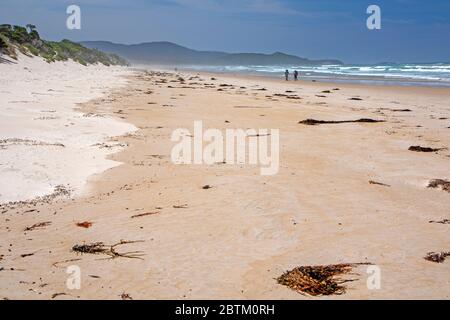 Randonneurs sur la South Coast Track le long de la plage de Prion Banque D'Images