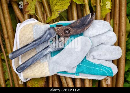 Gants de jardin avec jardin ancien secateur pour travailler dans le jardin Banque D'Images