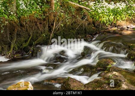 Petite cascade sur la rivière Alyn à Maeshafn, au nord du pays de galles Banque D'Images