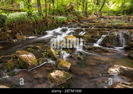 Petite cascade sur la rivière Alyn à Maeshafn, au nord du pays de galles Banque D'Images