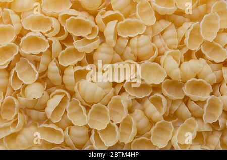 Fond de pâtes non cuites Conchiglie. Pâtes sèches en forme de coquilles. Vue de dessus. Banque D'Images