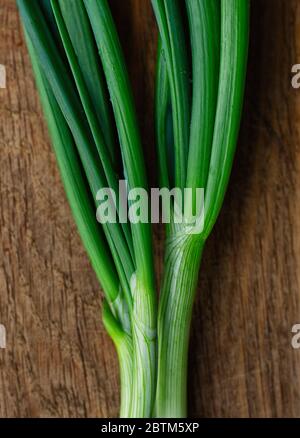 Oignons verts sur fond de bois. Oignons sur bois ancien. Concept de l'alimentation et de la santé. Gros plan. Banque D'Images