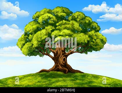 arbre vert contre un ciel bleu avec des nuages, belle nature, dessin à la main dessin art illustration peinte avec aquarelles. Banque D'Images