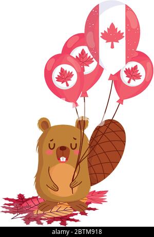 Castor avec motif de ballons canadiens, joyeux fête du canada et illustration vectorielle à thème national Illustration de Vecteur