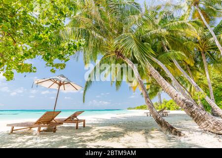 Belle plage exotique. Chaises sur la plage de sable près de la mer. Vacances d'été et concept de vacances pour le tourisme. Paysage tropical inspirant Banque D'Images