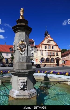 Ville de Bad Rodach, haute-Frankonie, Bavière, Allemagne / , Rathaus und Marktbrunnen, Bad Rodach, Landkreis Coburg, Oberfranken, Bayern, Allemagne Banque D'Images