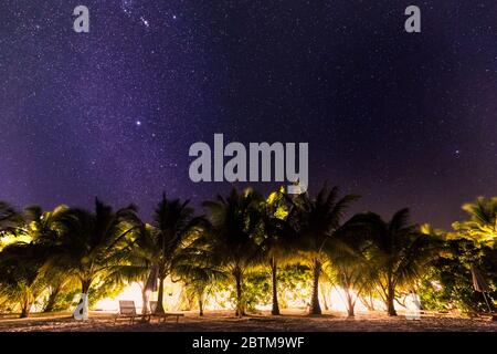 Photo de nuit avec des palmiers et Milky Way en arrière-plan, nuit chaude tropical Banque D'Images