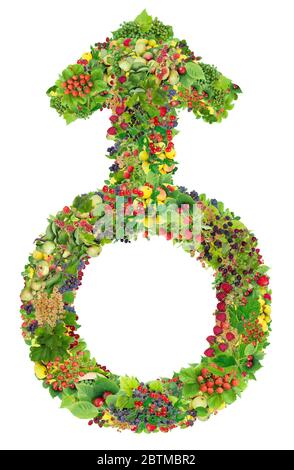 Le mâle - est le concept de fleurs d'été. Symbole floral masculin abstrait. Collage isolé fait main de plantes vives Banque D'Images