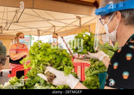 Le marché agricole local s'ouvre après dix semaines de confinement, vendant des fruits et légumes écologiques cultivés localement, pendant la phase deux de la désescalade du covid 19, état d'urgence du coronavirus. Playa san Juan, Tenerife, Iles Canaries, Espagne. 27 mai 2020. Banque D'Images