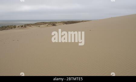 Dunes de sable de Curonian Spit à Nida, Lituanie, sur fond de mer Baltique Banque D'Images