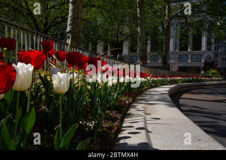 Leicester Square vide de circulation et de personnes. La région est déserte en raison des règlements de confinement mis en place pendant l'épidémie de coronavirus au Royaume-Uni. Banque D'Images