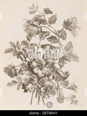 Assiette du Livre de toutes sortes de fleurs daprs nature. Recherche en Progressplate du livre de toutes les fleurs d'après nature, livre de gravures liées. Banque D'Images