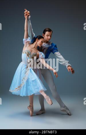 De jeunes danseurs de ballet gracieux comme des personnages de fairella sur fond de studio. Art, mouvement, action, flexibilité, inspiration concept. Danse de danse caucasienne flexible dansant, dansant. Banque D'Images