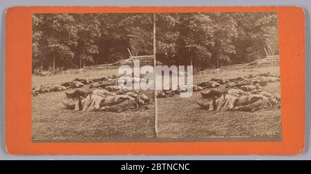 Stéréographe des soldats décédés sur le champ de bataille après Gettysburg. Cette stéréographie photographique illustre les corps de plusieurs soldats décédés qui se trouvent dans un champ ouvert. Une clôture en bois devant une forêt dense d'arbres se trouve en arrière-plan. L'impression photographique est montée sur du carton orange qui est pincé au verso. Banque D'Images