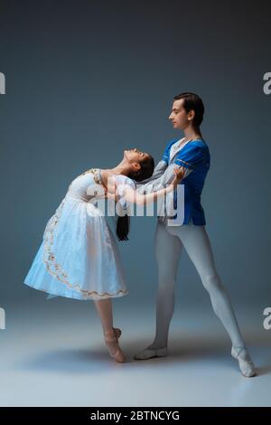 De jeunes danseurs de ballet gracieux comme des personnages de fairella sur fond de studio. Art, mouvement, action, flexibilité, inspiration concept. Danse de danse caucasienne flexible dansant, dansant. Banque D'Images